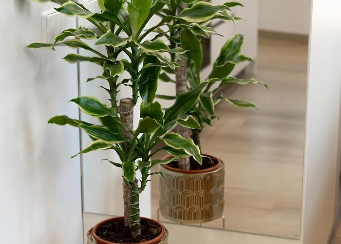 Appartement Sunlight Velvet Cozy Heart Of - Self Check-in Riga